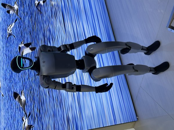 创元网配资 人形机器人抢镜数字中国建设峰会 AI智能体加速“各显神通”