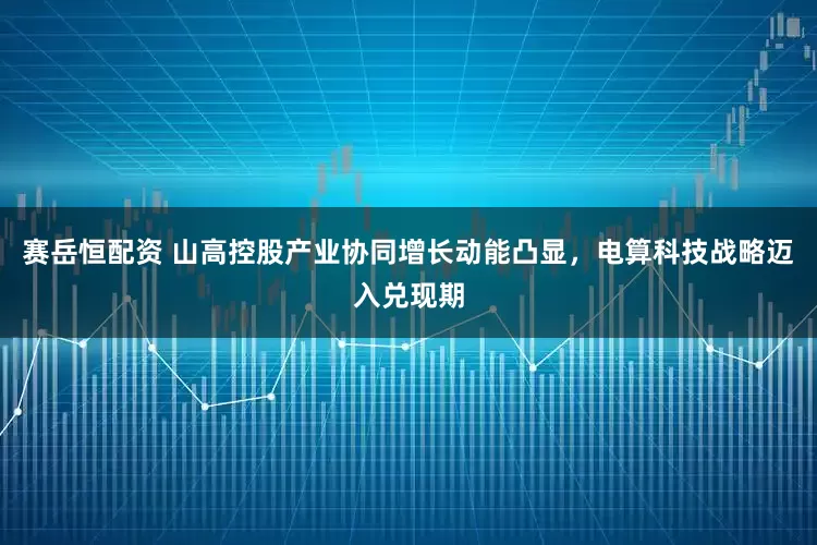 赛岳恒配资 山高控股产业协同增长动能凸显，电算科技战略迈入兑现期