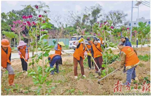 同门证券 田间地头议事 议出基层和谐 电白树仔镇村民说事活动覆盖生活生产场景