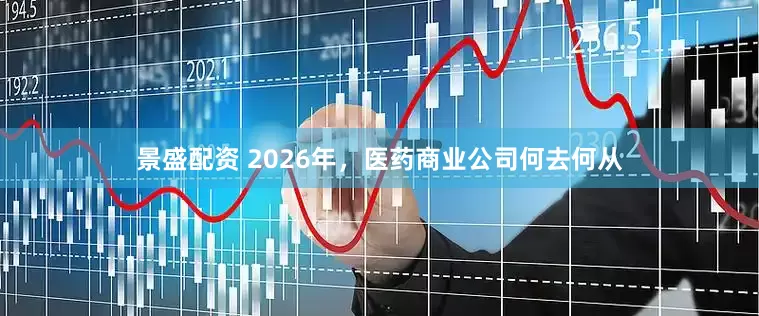 景盛配资 2026年，医药商业公司何去何从