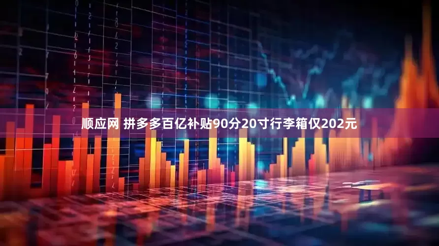 顺应网 拼多多百亿补贴90分20寸行李箱仅202元